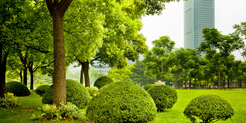 Commercial Lawn Maintenance in Livingston, Texas