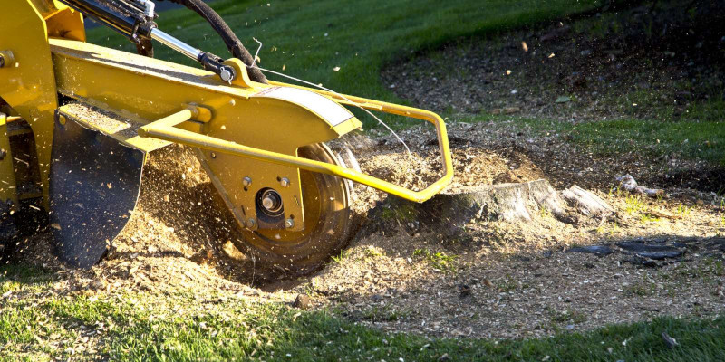 Stump Grinding in Livingston, Texas