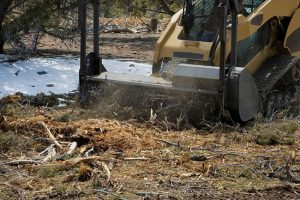 How Land Clearing Can Benefit the Environment