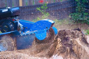Why Stump Grinding is Necessary