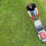 Spring Lawn Maintenance